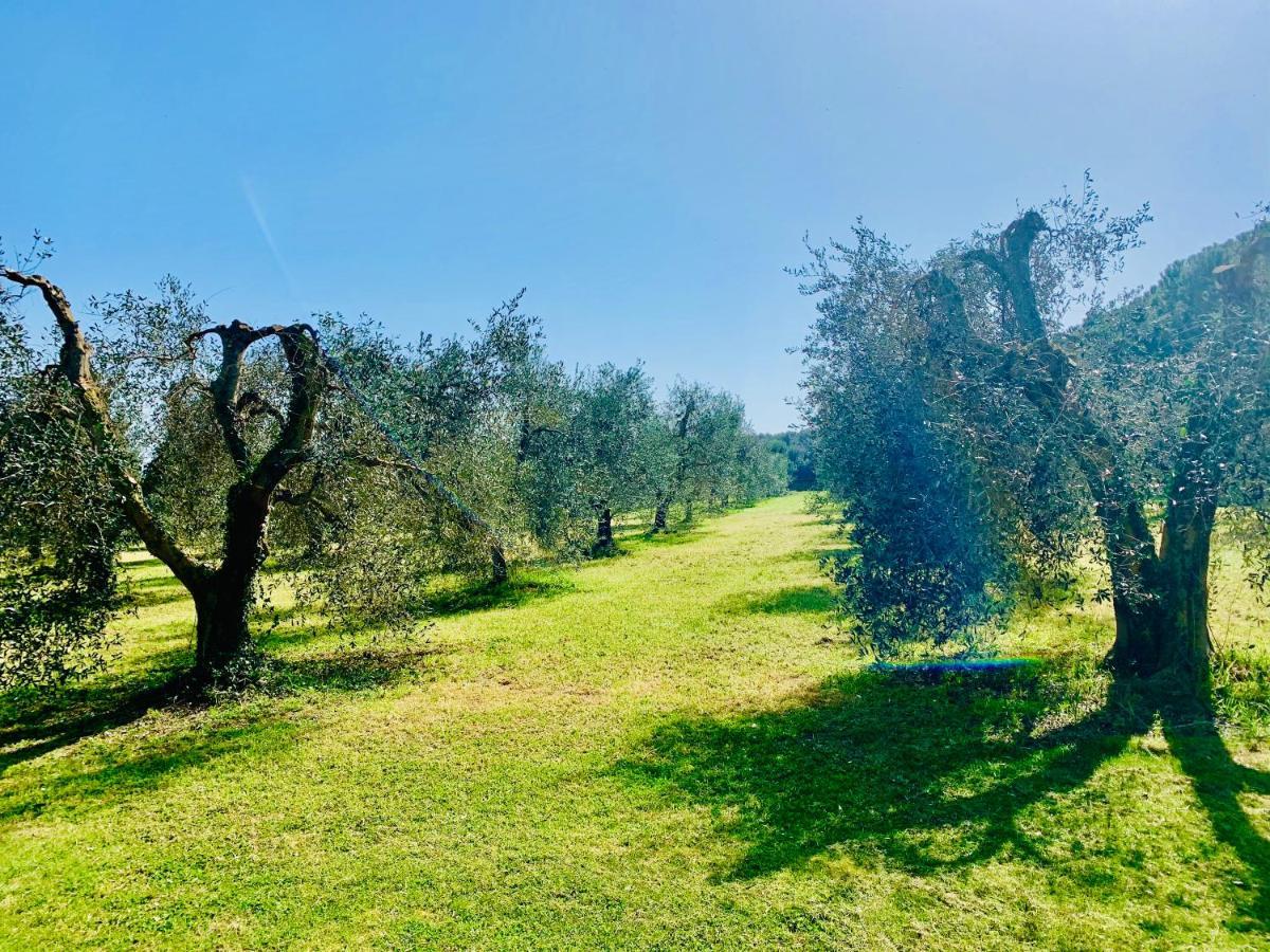 Il Borghetto Di Ansedonia Apartment Exterior foto
