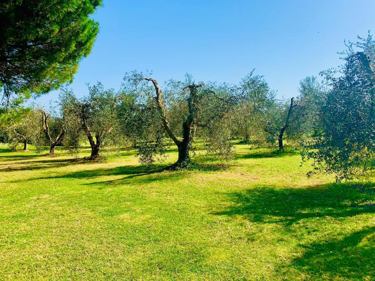 Il Borghetto Di Ansedonia Apartment Exterior foto