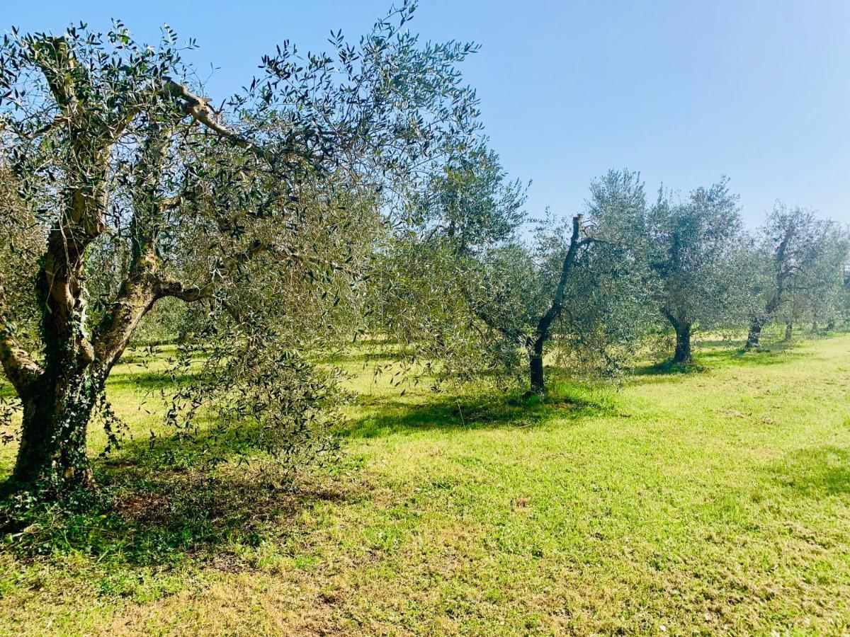 Il Borghetto Di Ansedonia Apartment Exterior foto