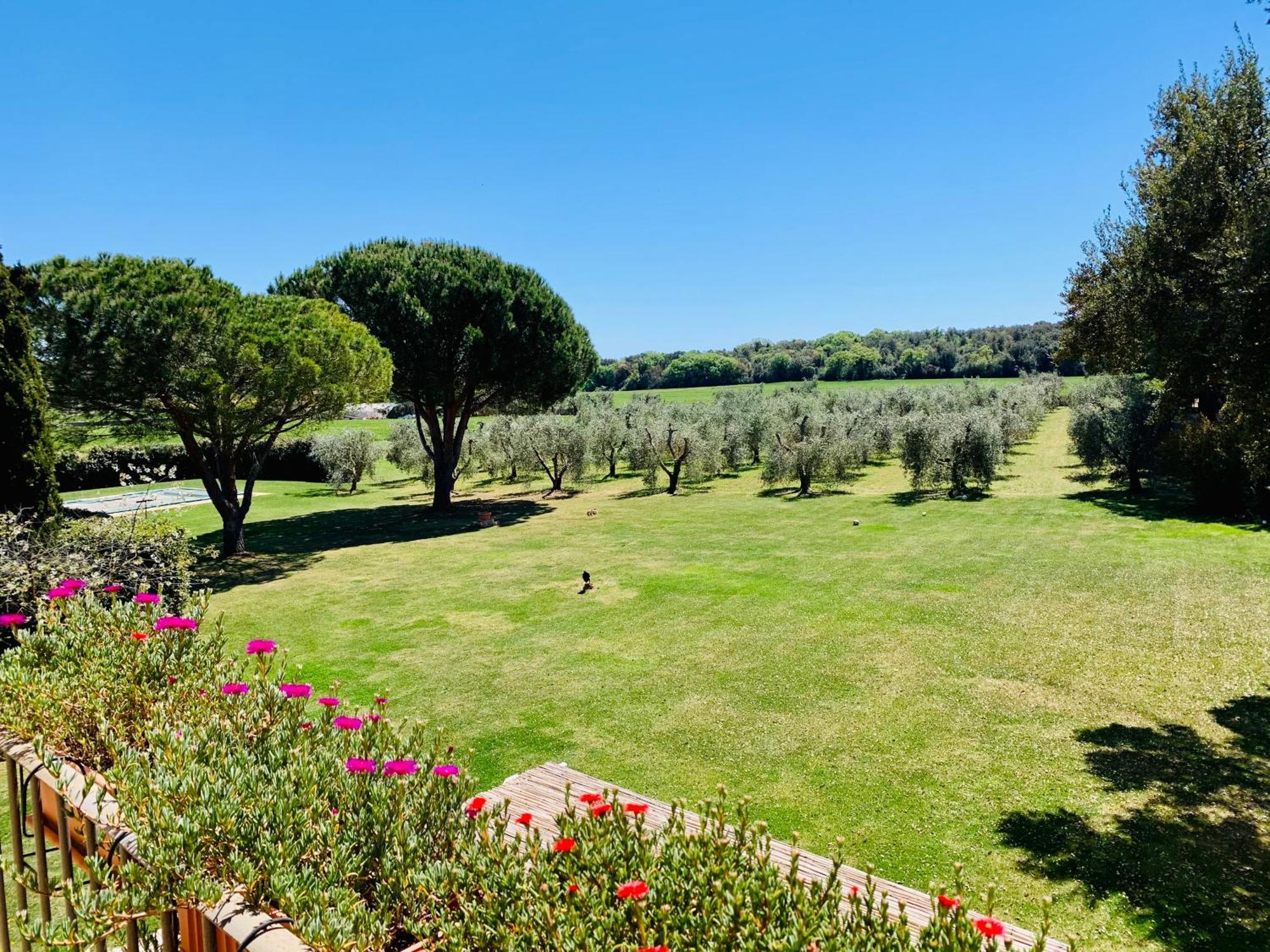 Il Borghetto Di Ansedonia Apartment Exterior foto